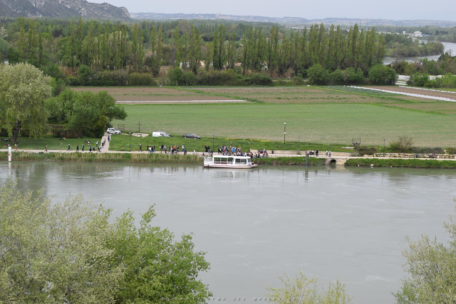 2018 04 16 AVIGNON (91).JPG